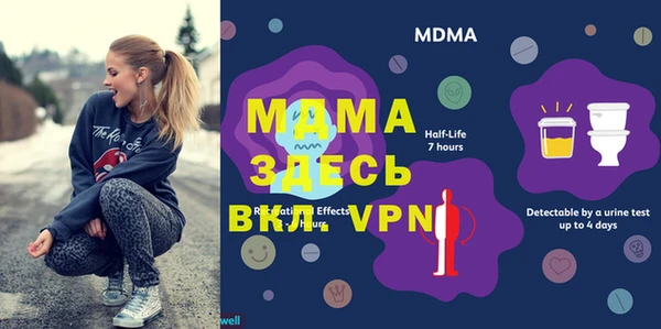шишки Вязники