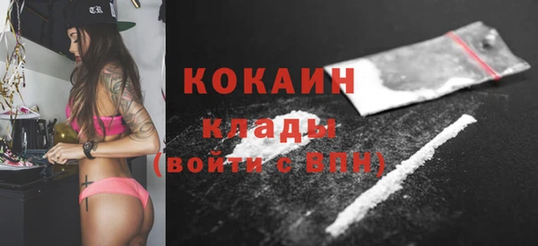 шишки Вязники
