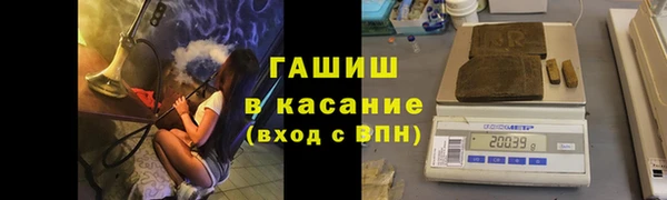 МДПВ Вяземский
