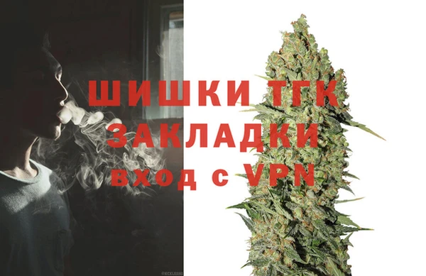 шишки Вязники