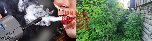 шишки Вязники